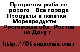 Продаётся рыба не дорого - Все города Продукты и напитки » Морепродукты   . Ростовская обл.,Ростов-на-Дону г.